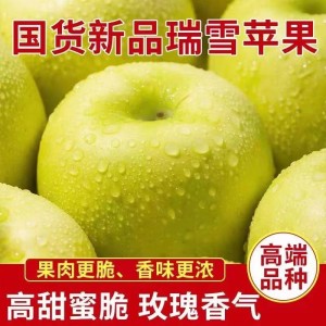 現摘陜西青蘋果水果酸甜脆當應季新鮮蘋果一整箱2/5/10斤一件批發